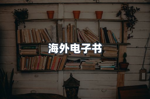 海外电子书
